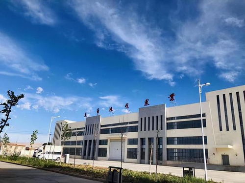 援疆品牌榜樣 疆品聰達