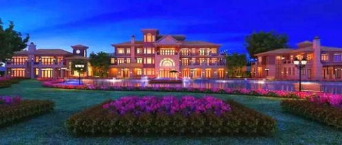 售樓處電話(huà)是多少 售樓處火了位置及詳情