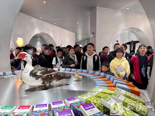 玉溪一中學生到貓哆哩集團參觀研學