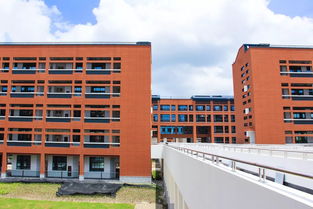 重磅 杭州高級中學錢塘學校一大波實景圖亮相,2020年9月開學,3年內火熱招老師啦