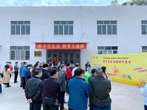 高州食品集團又一力作 果鄉花生油廠 正式投產,滴滴純正