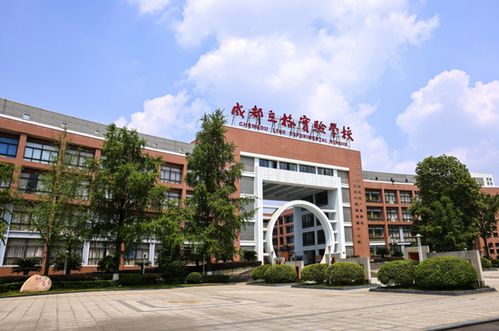 全部學生上線一本 立格實驗學校首屆精品高中高考出征大捷