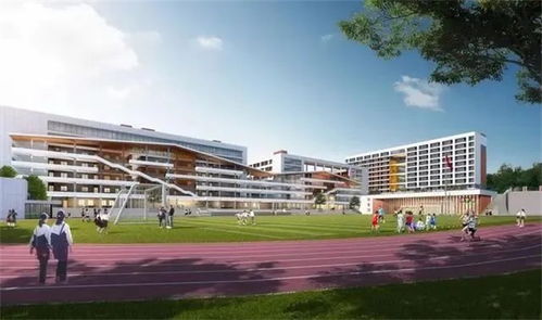 爭優爭先爭效 洛江 掛圖作戰抓落實 項目奮進爭春早