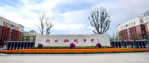 衡水桃城中學,個別教師懲戒失當