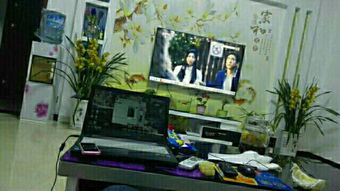 新婦幼保健院上1500米結子中學下500米