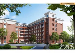 家長必看 2020年張家界中心城區中小學學區最新劃分,你家孩子在哪上學