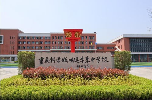 從學前普惠到高中 登峰 重慶高新區繪就教育全新 生態圖