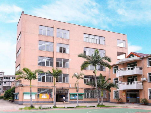 低進高出 中考成績節節高 福州這所中學發布最新消息