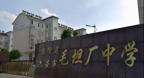 冰火兩重天 毛坦廠中學(xué)排起了隊(duì) 清華北大打爆他們的電話