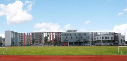 探秘香江天賦五一火爆真相 有一種少數派,你需要了解