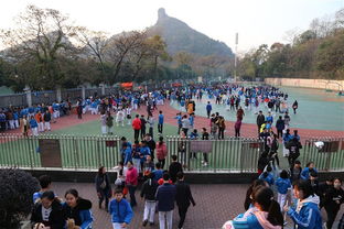 左手是書林流連的學生,右手是下海練手的老板 寶賢中學2017年商品貿易節活動掠影