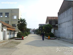 古河初級中學 ssl20042圖片 阜寧縣學習培訓